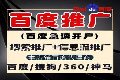 某行业领军企业的SEM广告投放策略